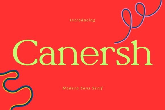 Canersh Font for a Polished Web Design
