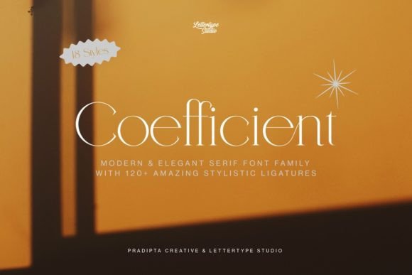 Coefficient Serif Font for Handmade Creations