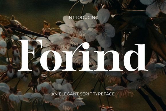 How Forind Helped My Bakery Look More Polished and Professional