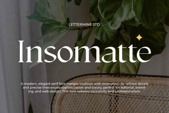 Insomatte: A Modern Serif Font for Polished Web Design