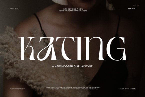 Kating Serif Font for Web Design Projects