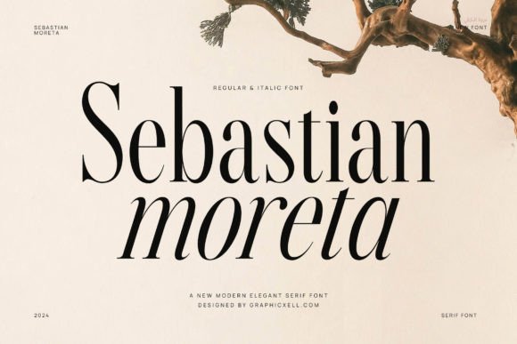 Sebastian Moreta for Clearer Campaign Messaging